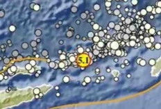 Gempa Magnitudo 5,1 Guncang Maluku Barat Daya Pagi Ini, Tak Berpotensi Tsunami