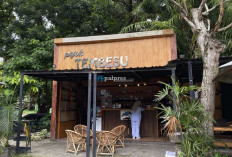 Vibes Hutan Tengah Kota: Alasan Pojok Tembesu Jadi Titik Temu Favorit Anak Muda Palembang